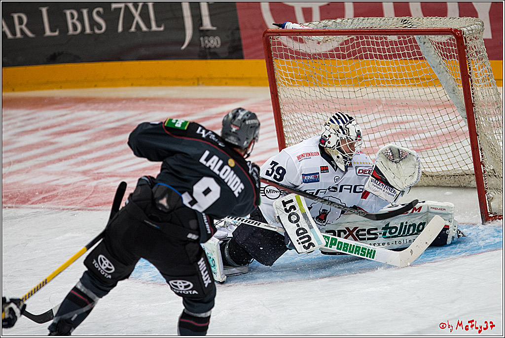 Koelner Haie - Eisbaeren Berlin, 13.11.2016
